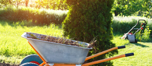 How to Choose the Right Landscaping Company in Wahiawa?