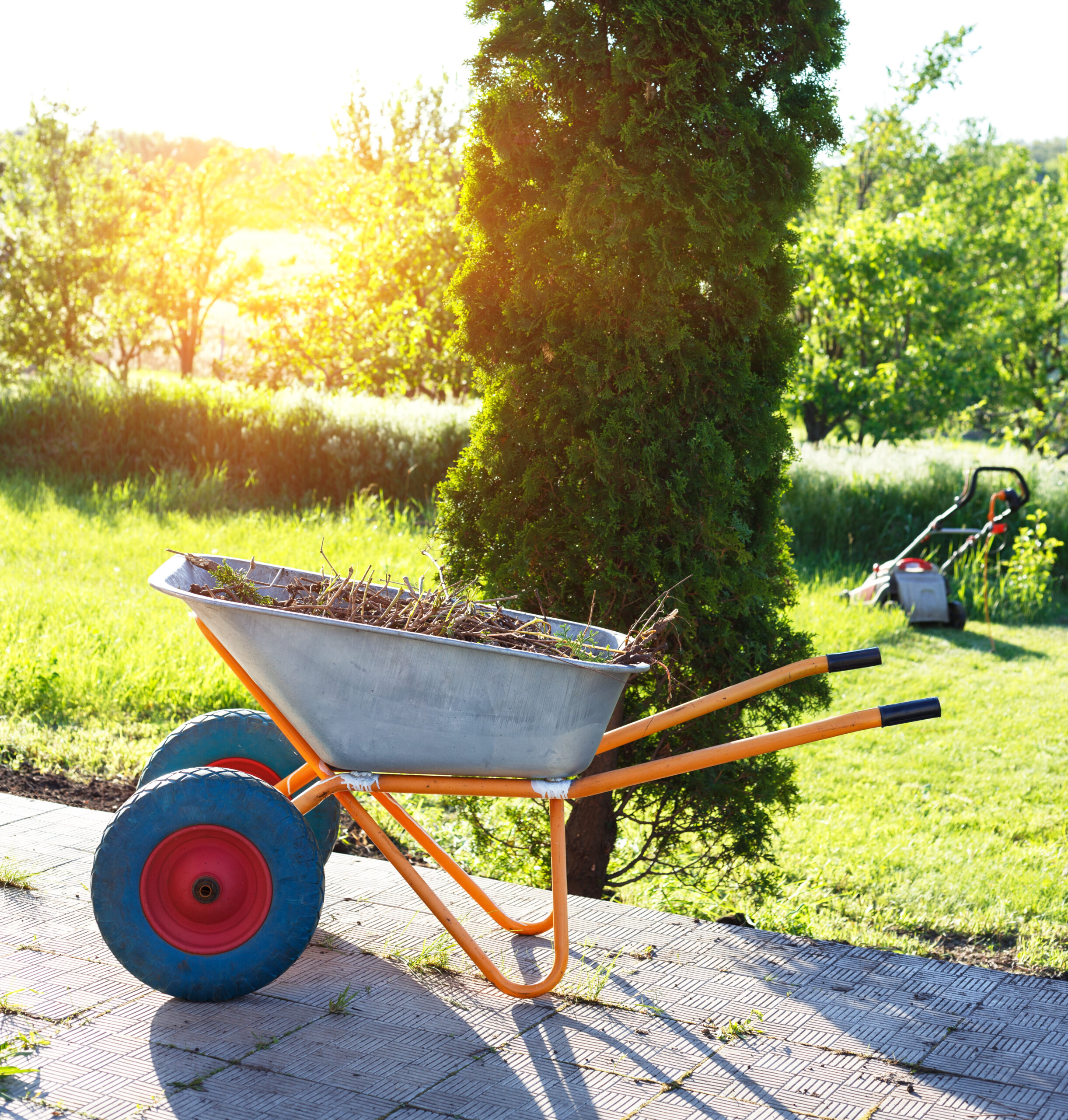 How to Choose the Right Landscaping Company in Wahiawa?