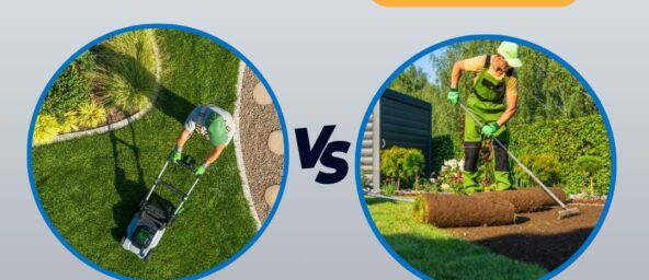 Lawn Care vs Landscaping: What’s the Difference?